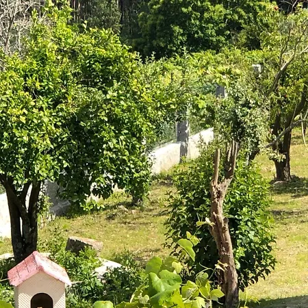 Casa Estrella * Tebra